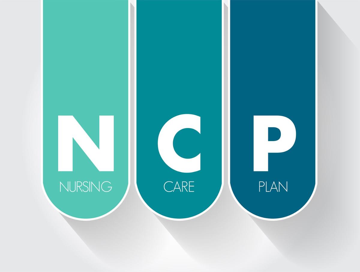 Nursing Care Plan (NCP): Ultimate Guide & List [2023 Update