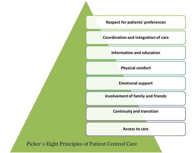 what does patient care entail