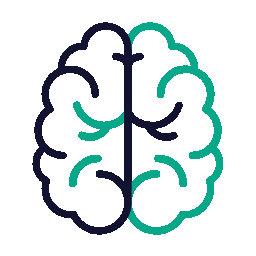 brain icon
